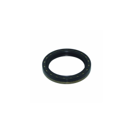 RETEN TRASERO LOMBARDINI LDA 100