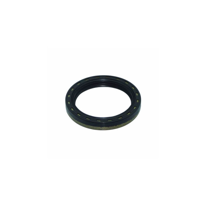 RETEN TRASERO LOMBARDINI LDA 100